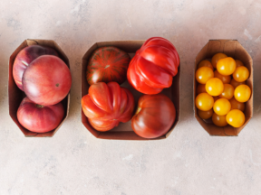 The Many Types of Tomatoes